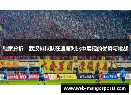 独家分析：武汉排球队在速度对比中展现的优势与挑战