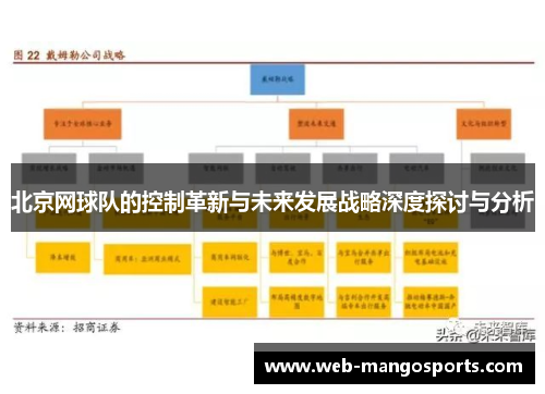 北京网球队的控制革新与未来发展战略深度探讨与分析