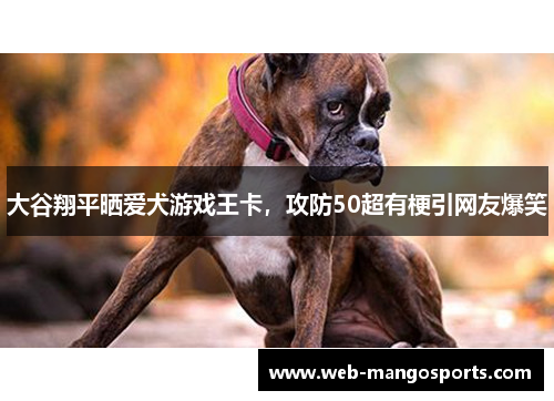 大谷翔平晒爱犬游戏王卡，攻防50超有梗引网友爆笑
